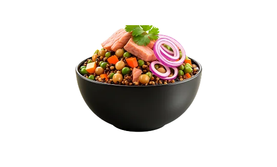 Salades & assiettes froides